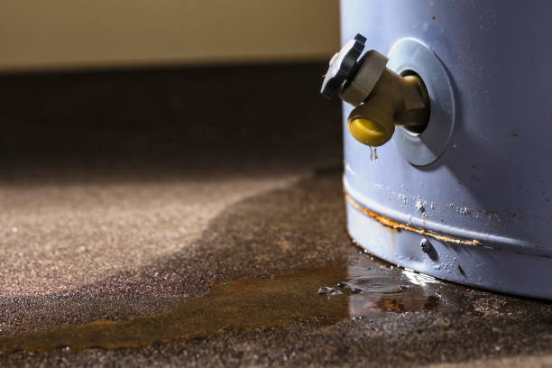 Sewage cleanup and water damage restoration in North River Shores, FL