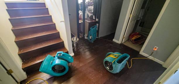 Best Residential water damage restoration  in North River Shores, FL