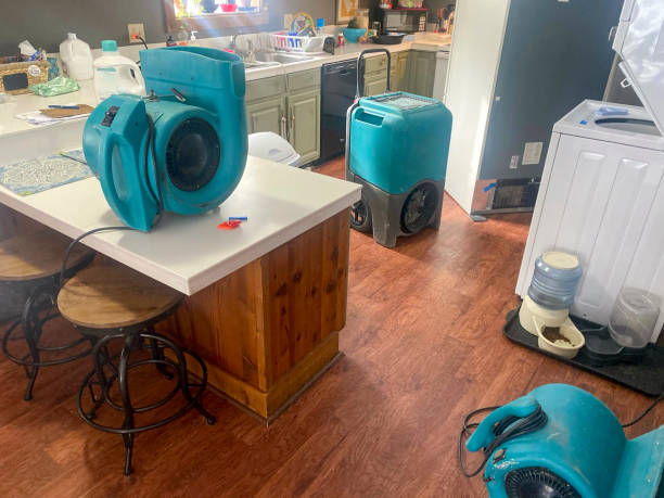 Best Flood damage cleanup  in North River Shores, FL