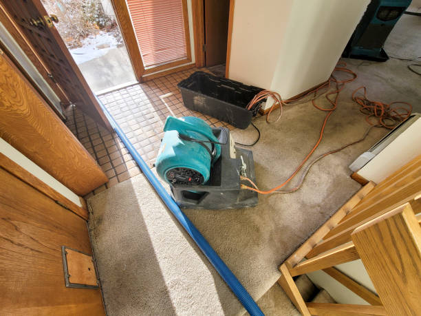 Best Sewage cleanup and water damage restoration  in North River Shores, FL