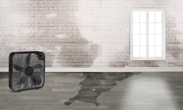 Best Commercial water damage restoration  in North River Shores, FL