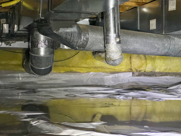 Best Flood restoration services  in North River Shores, FL