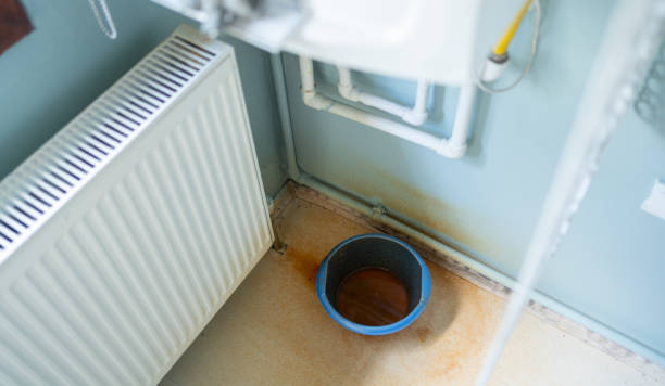 Best Local water damage restoration  in North River Shores, FL