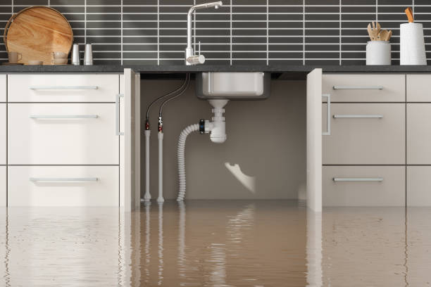 Best Basement water damage restoration  in North River Shores, FL