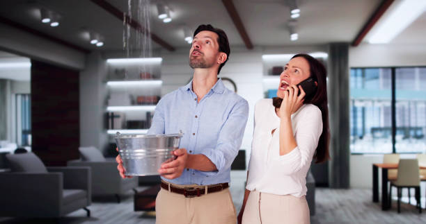 Best Water damage cleanup near me  in North River Shores, FL