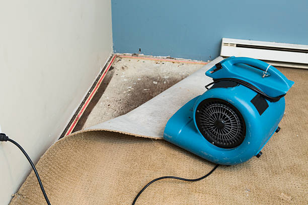 North River Shores, FL Water damage restoration Company